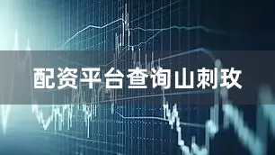 配资平台查询山刺玫