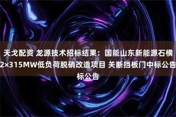 天戈配资 龙源技术招标结果:国能山东新能源石横2×315MW低负荷脱硝改造项目 关断挡板门中标公告